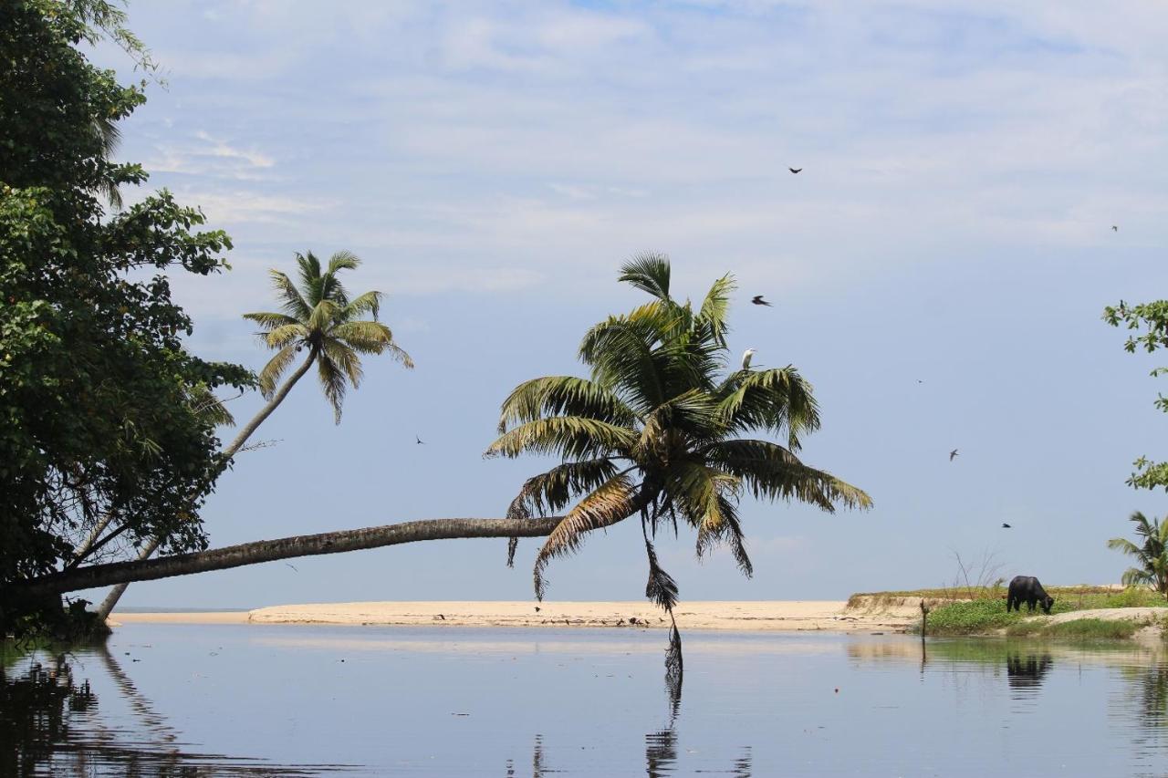 Telma Beach Homestay マラリクラム エクステリア 写真