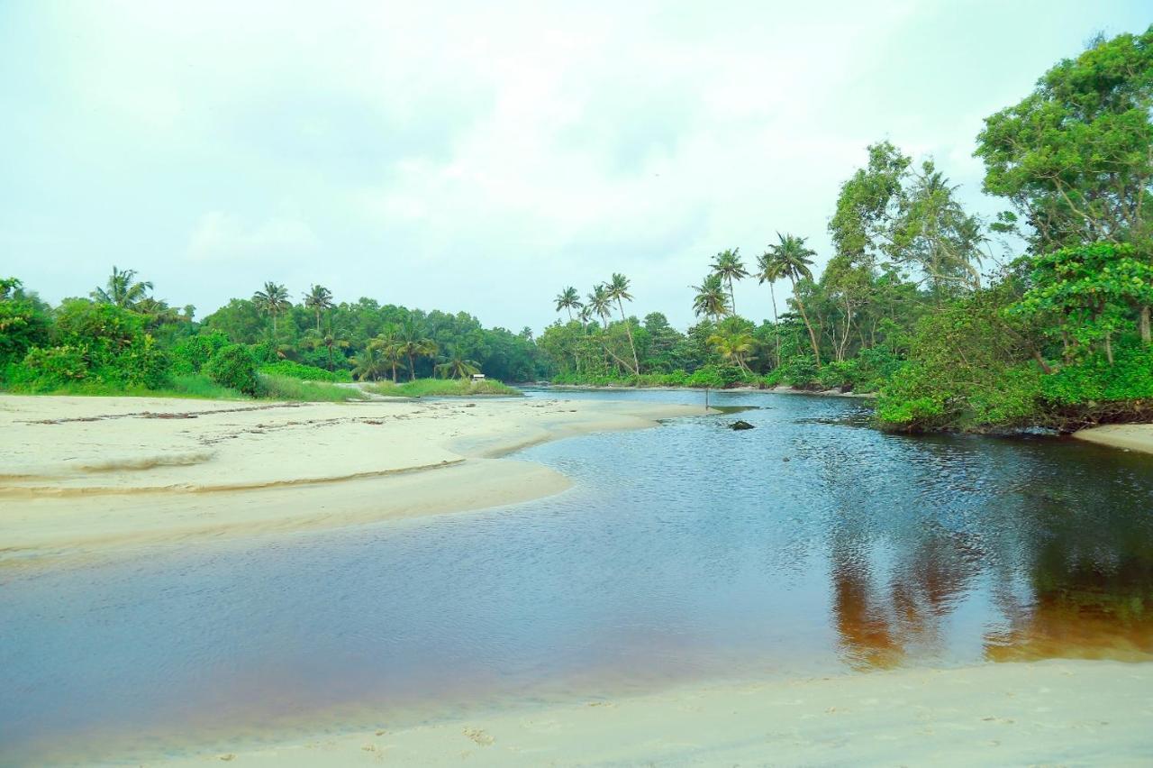 Telma Beach Homestay マラリクラム エクステリア 写真