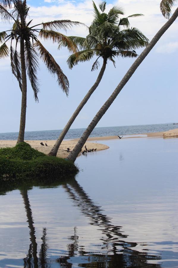 Telma Beach Homestay マラリクラム エクステリア 写真